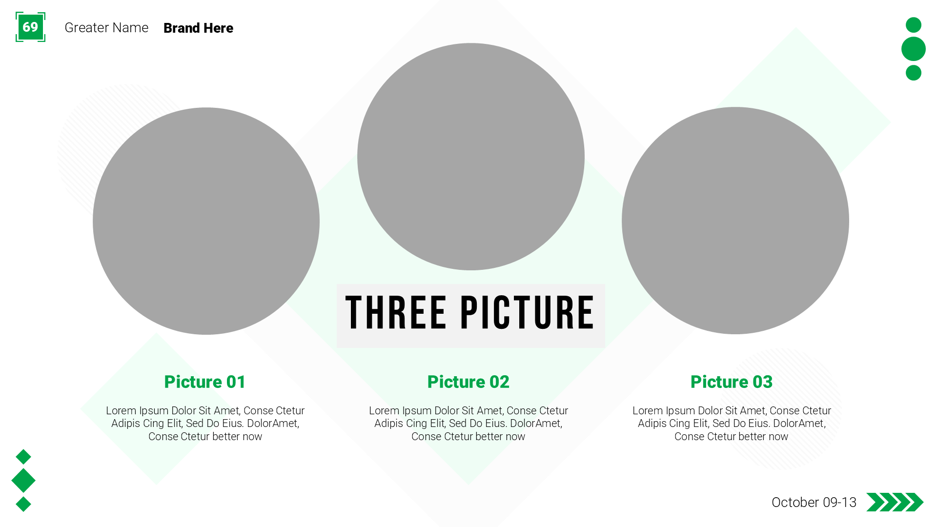 Professionality Green slide 3